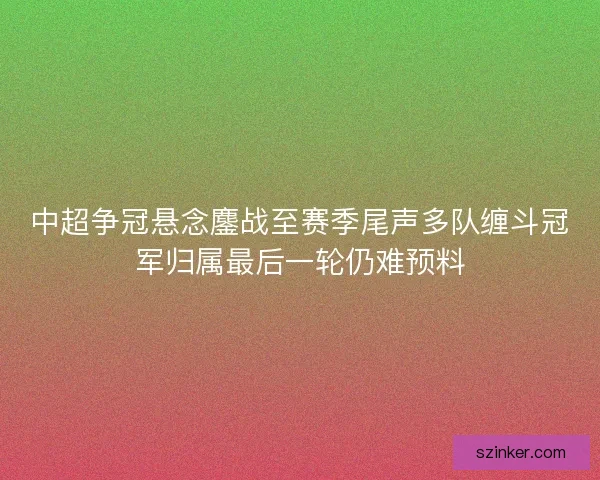 中超争冠悬念鏖战至赛季尾声多队缠斗冠军归属最后一轮仍难预料